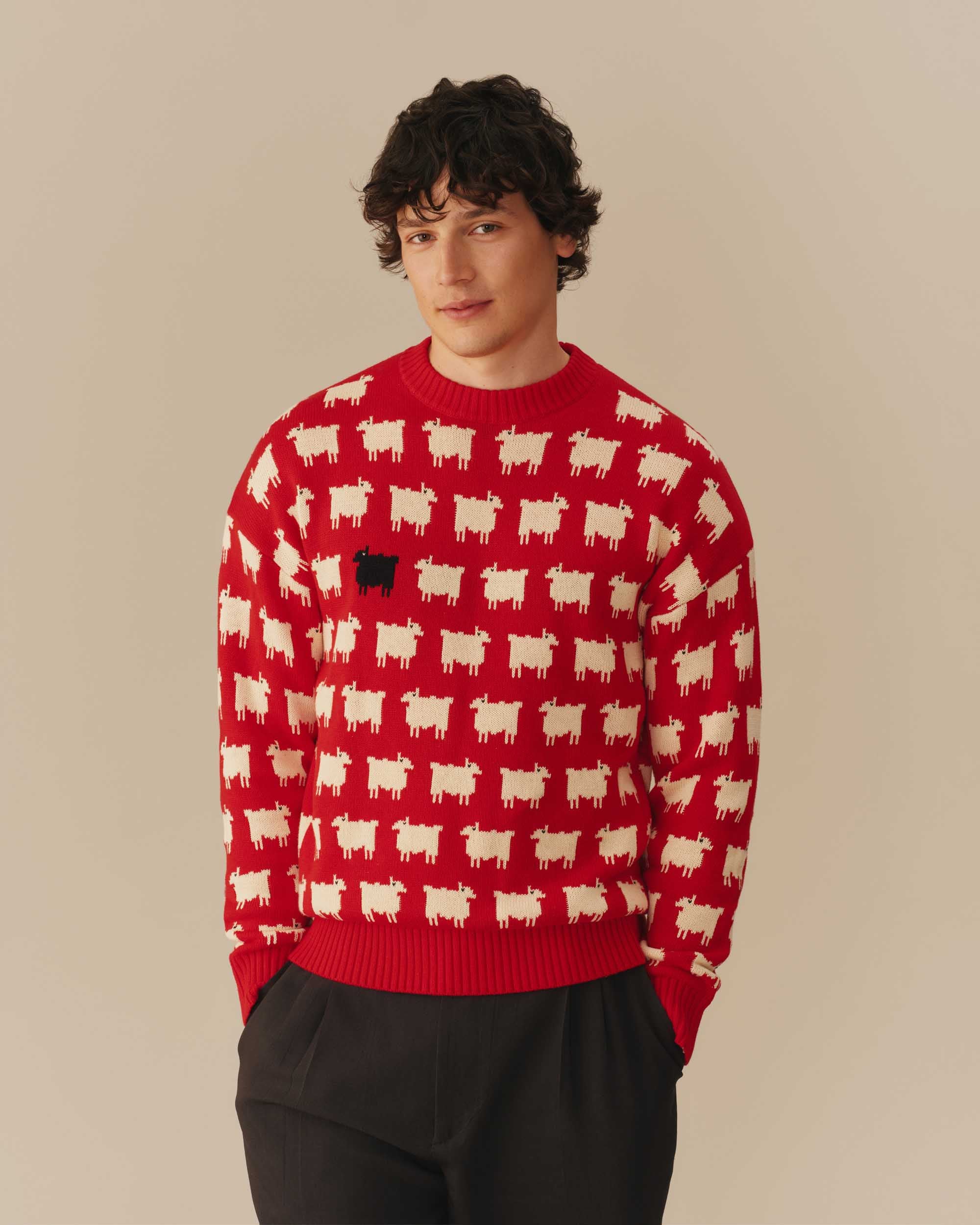 Men's Warm & Wonderful "Diana Edition" Cotton Sheep Sweater - Image 3
