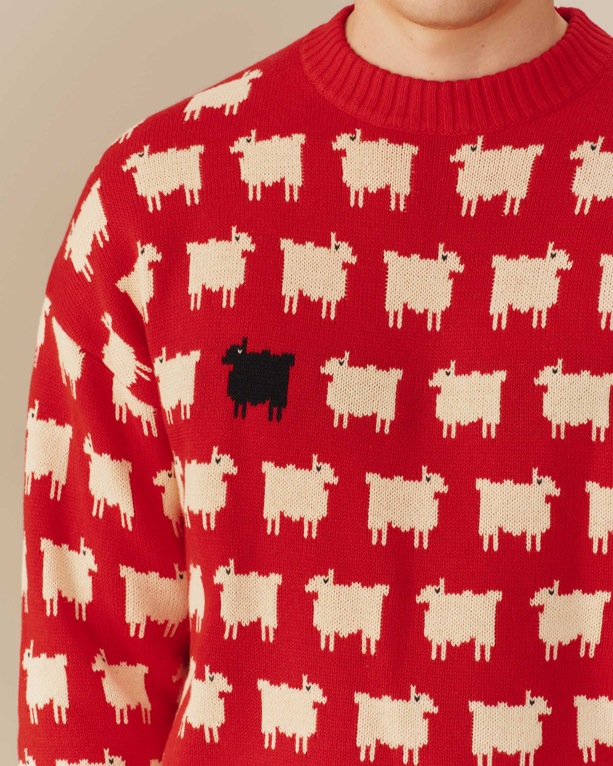 Men's Warm & Wonderful "Diana Edition" Cotton Sheep Sweater - Image 5