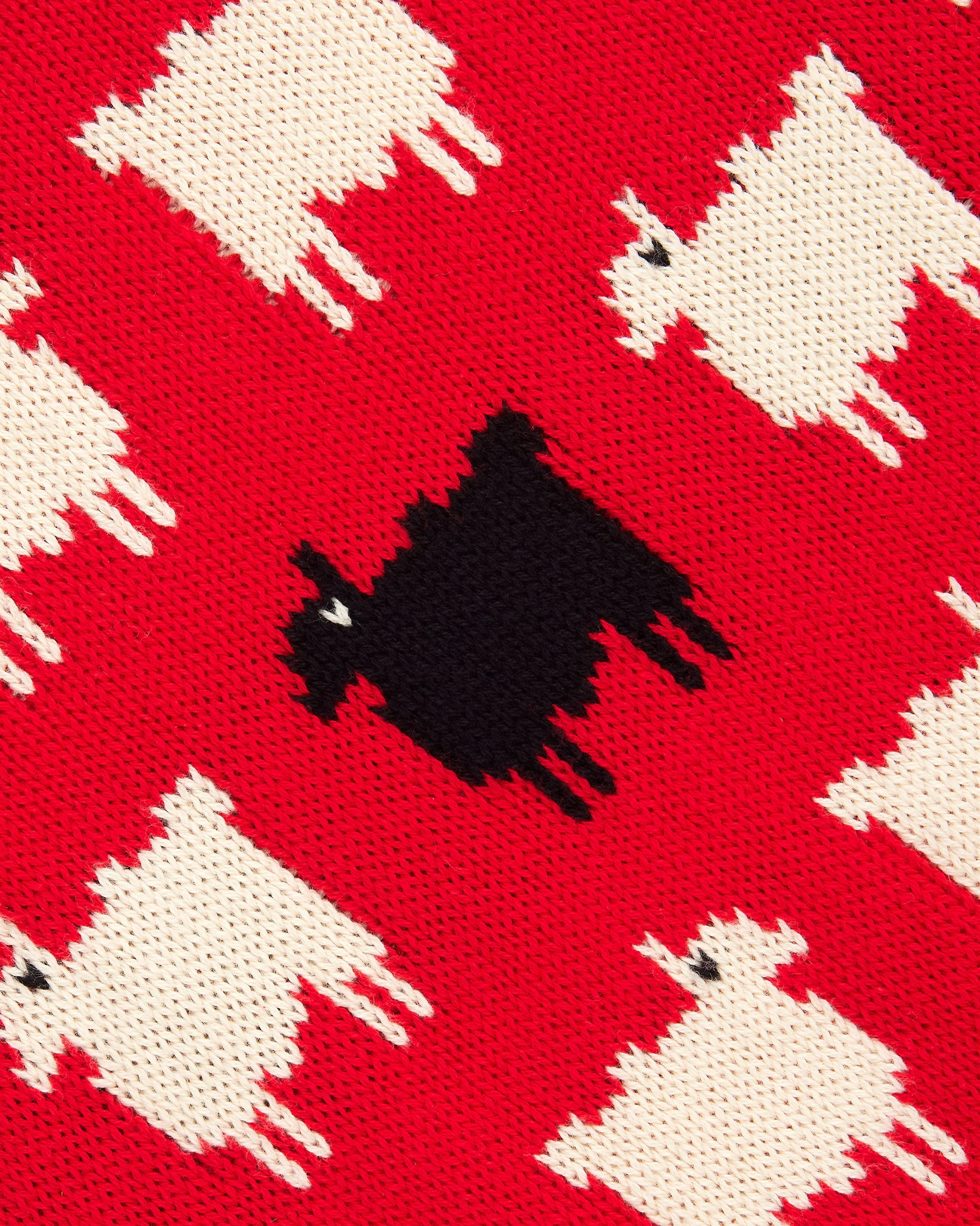 Men's Warm & Wonderful "Diana Edition" Cotton Sheep Sweater - Image 7