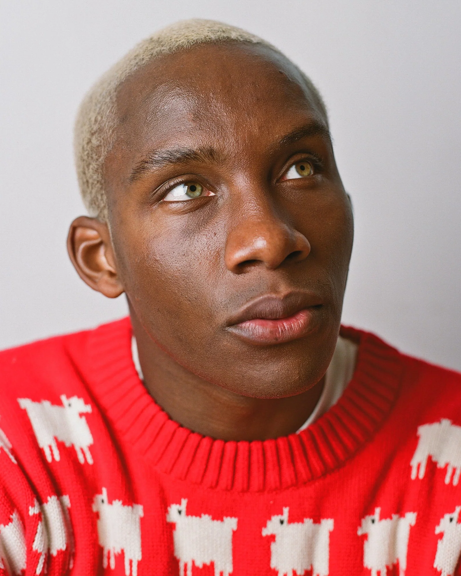 Men's Warm & Wonderful Wool "Diana Edition" Wool Sheep Sweater - Image 4