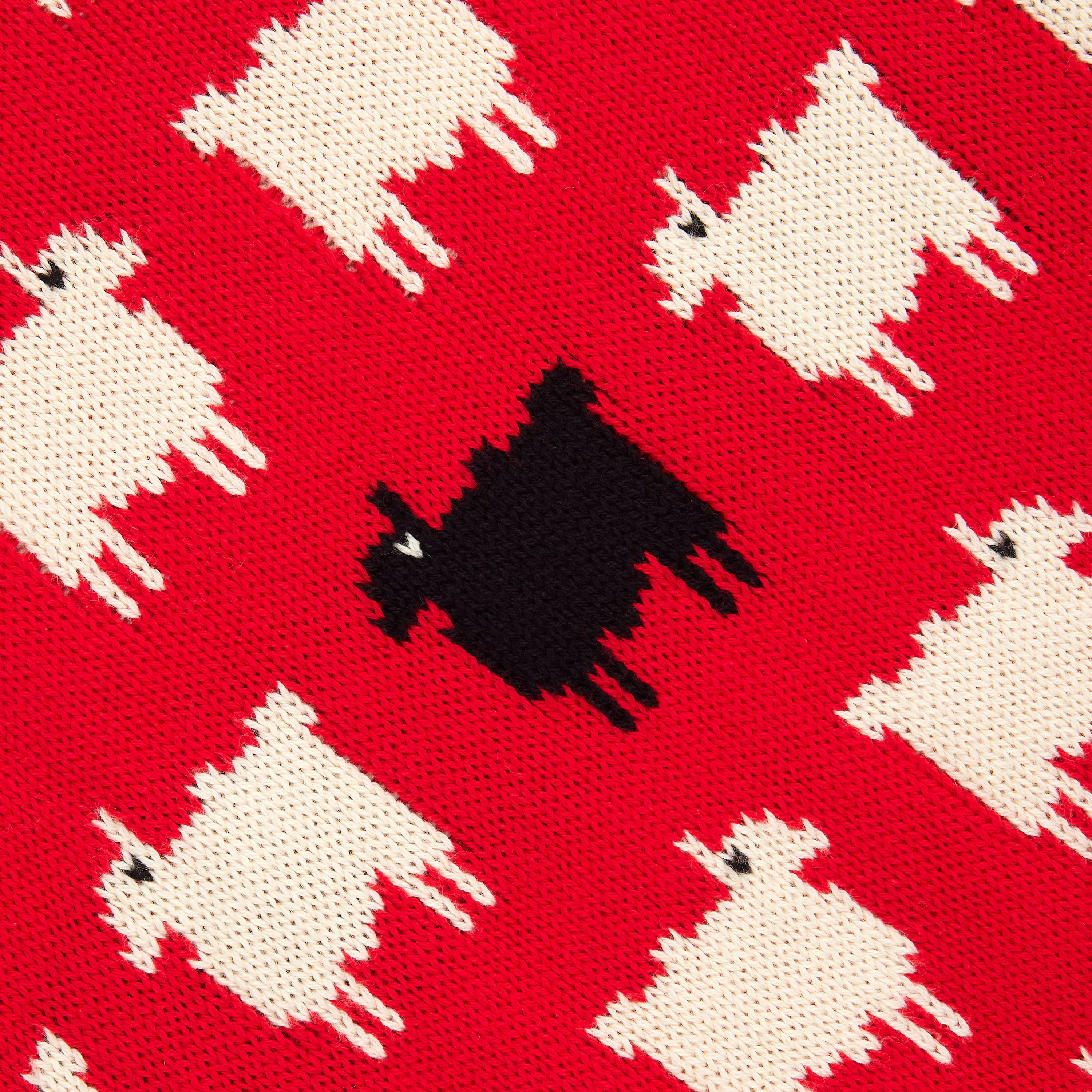 Warm & Wonderful Fitted "Diana Edition" Cotton Sheep Sweater - Image 8